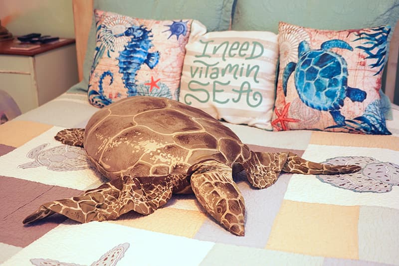 A close-up of a bed adorned with a large stuffed sea turtle and three decorative pillows featuring sea-themed designs, including one with "I need Vitamin SEA" text.