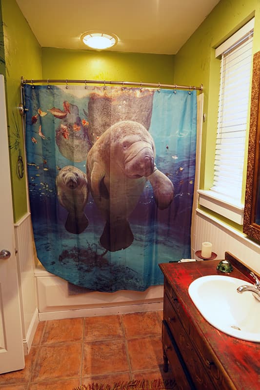This lively bathroom features bright green walls, a striking shower curtain depicting manatees underwater, a rustic vanity with a white sink, and terracotta-colored floor tiles.
