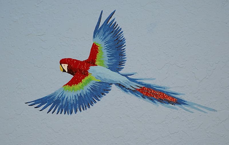 A vibrant mural depicts a red, blue, and green macaw in flight, with outstretched wings and a long tail, set against a light blue background.