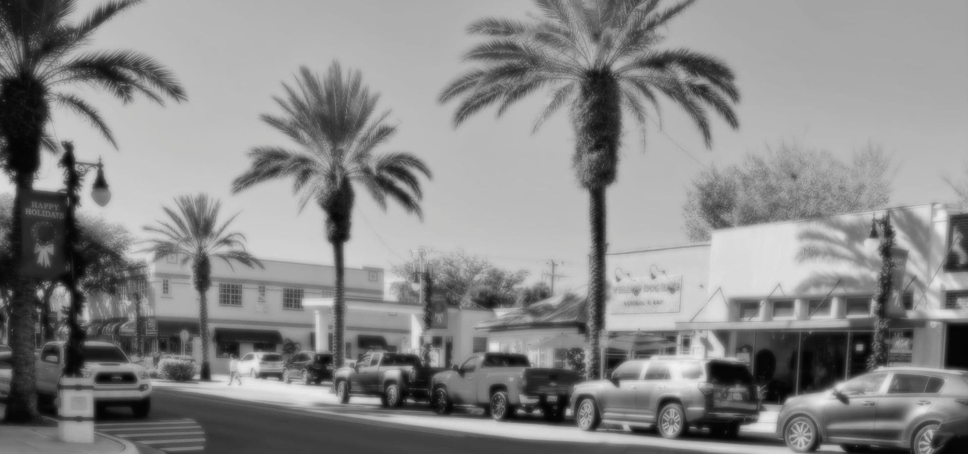 A black-and-white image of a street lined with palm trees and parked cars.