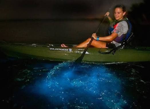 woman kayaking through the bioluminescence