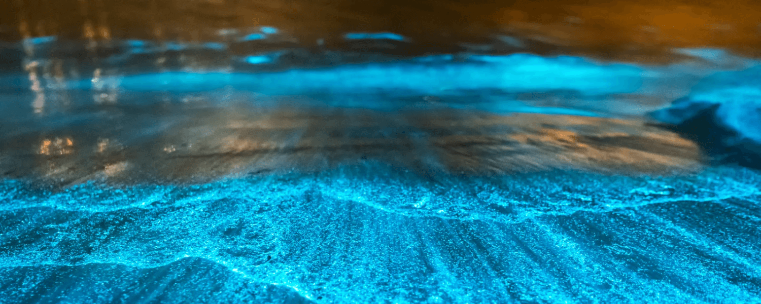 Bright bioluminesent blue color in ocean waves Bright bioluminesent blue color in ocean waves