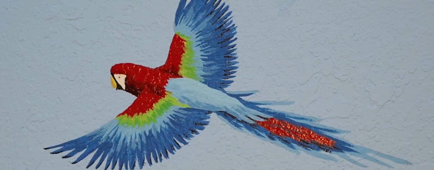 Colorful painting of a parrot on a blue wall